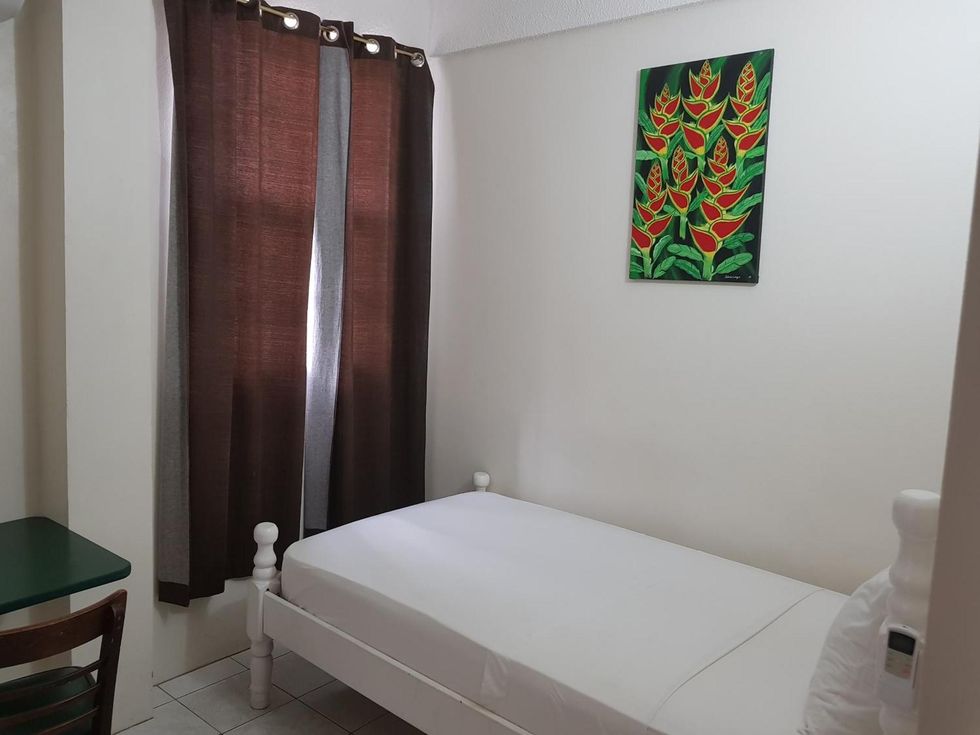 St. James Guesthouse Roseau Dış mekan fotoğraf